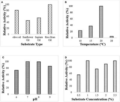 A Broad Temperature Active Lipase Purified From a Psychrotrophic Bacterium of Sikkim Himalaya With Potential Application in Detergent Formulation